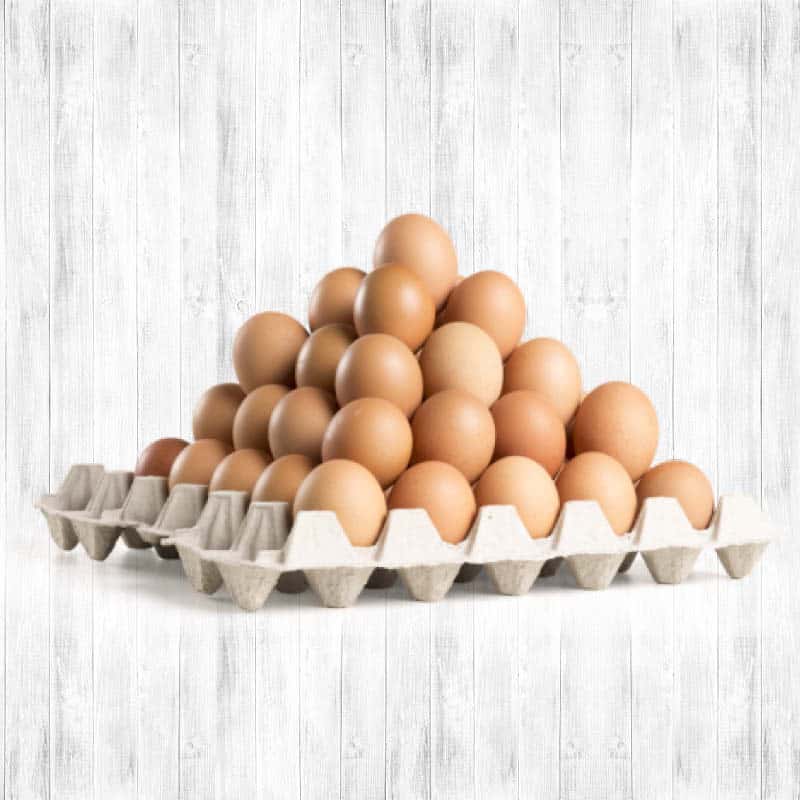 Promo 54 image